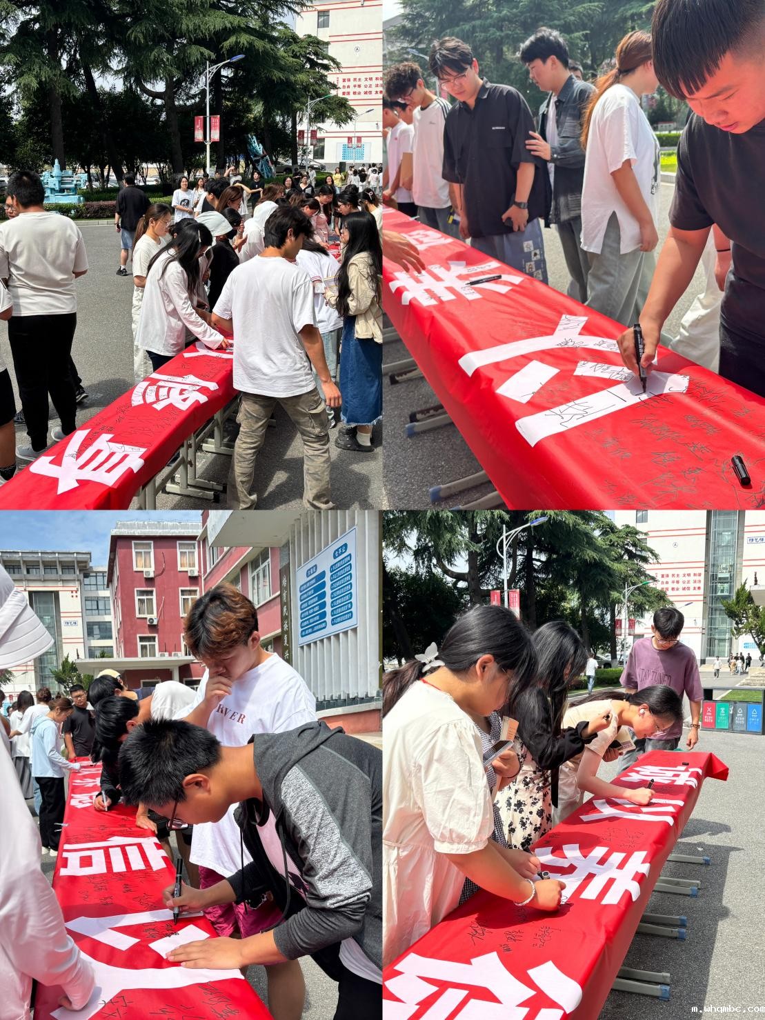 0aece4c3bdb6cecda0fb0f6cbbd7167